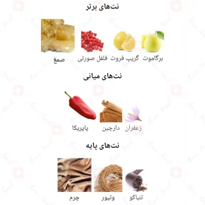 Nuke Fragrance World ادکلن نوک سبز