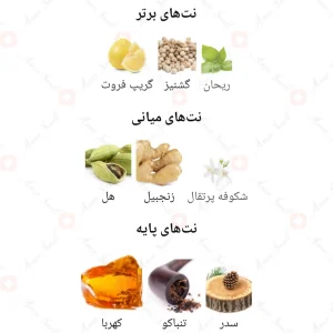 Optimystic_Fragrance_World_ادکلن_اوپتیمیستیک