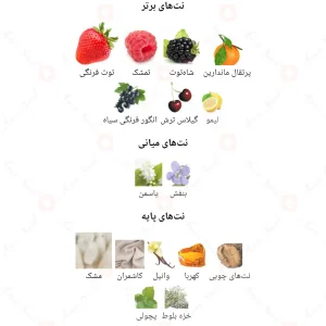 Optimystic_Her_Fragrance_World_ادکلن_اوپتیمیستیک_هر
