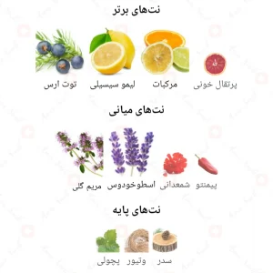 Optimystic_White_Fragrance_World_اوپتیمیستیک_وایت_