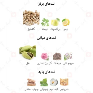 Pepper_So_Spicy_Fragrance_World_ادکلن_پپر_سو_اسپایسی2