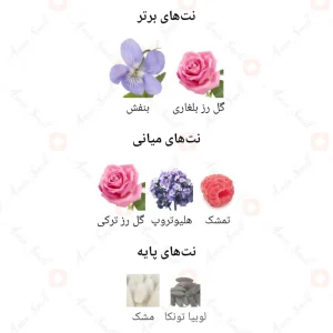 Pose As Rose Fragrance World ادکلن پوس از رز