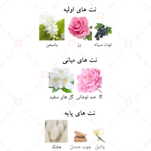 Pour_Elle_Fragrance_World3_ادکلن_اکسپوز_پور_اله_