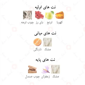 Pour_Lui_Fragrance_World_ادکلن_اکسپوز_پور_لوی_