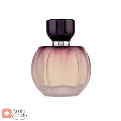 Pure Passion Fragrance World ادکلن پور پشن