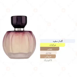 Pure Passion Fragrance World ادکلن پور پشن