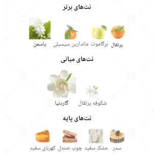 Pure Passion Fragrance World ادکلن پور پشن