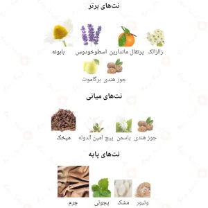 Renheit_Fragrance_World_ادکلن_رنهیت_فرگرانس_ورد_