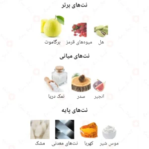 Salt_Fragrance_World_ادکلن_سالت_فرگرانس_ورد_