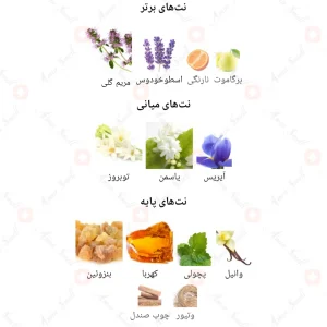 Savoury_Royal_Essence_ادکلن_ساووری_رویال_اسنس