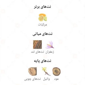 Shamokhi_Fragrance_World_ادکلن_شموخی_فرگرانس_ورد_