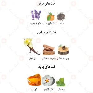 Soir_Fragrance_World_ادکلن_سویر_فرگرانس_ورد_