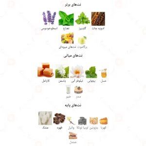 Star Men Fragrance World ادکلن استار من