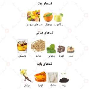 Star_Men_Nebula_Fragrance_World_ادکلن_استار_من_نبیولا
