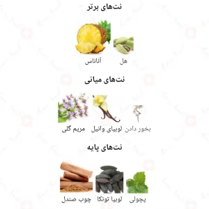 Taj 2 Fragrance World ادکلن تاج دو