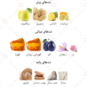 Taj I Fragrance World ادکلن تاج یک
