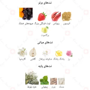 The Panther Fragrance World ادکلن د پنتر