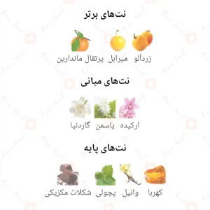 Today_&_Tomorrow_Pour_Femme_ادکلن_تودی_اند_تومورو