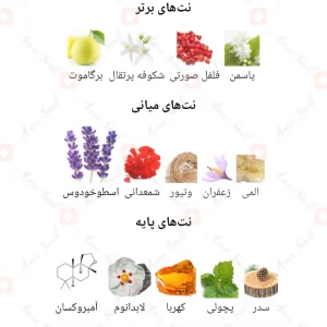 Urban_Man_Elixir_World_ادکلن_اوربان_من_الکسیر_