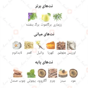 Valour_Night_Iris_World_ادکلن_ولور_نایت_آیریس2