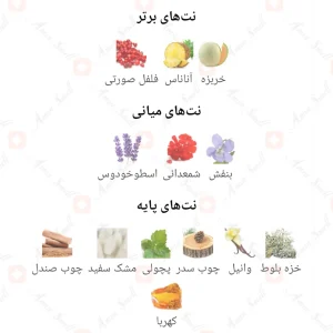 Vert 9 Fragrance World ادکلن ورت نه