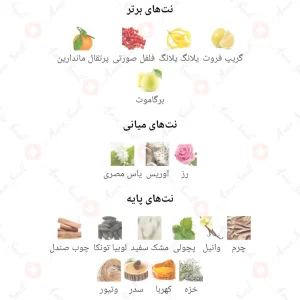 Viola 3 Fragrance World ادکلن ویولا سه