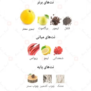 Yuzu_Fragrance_World_ادکلن_یوزو_فرگرانس_ورد_