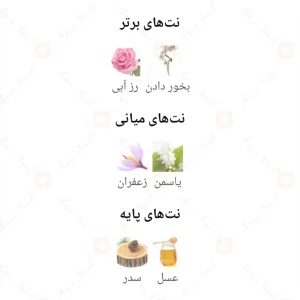 Zan_Elixir_Edition_Fragrance_World_زان_الکسیر_ادیشن