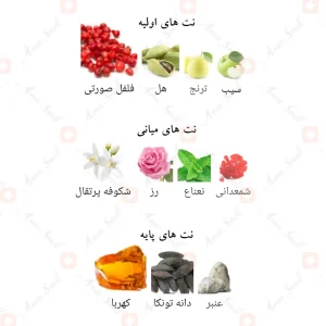 champion_sugar_fragrance_world_ادکلن_چمپیون_شوگر