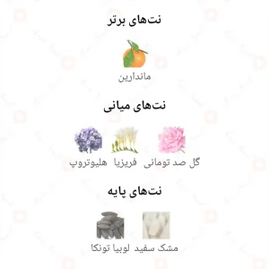 my_soul_mate_Fragrance_World_ادکلن_مای_سولمیت_