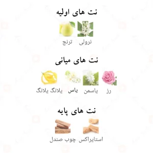 _آمور_د_لوکس_فرگرانس_ورد_Amour_De_Leuxe_Fragrance_World