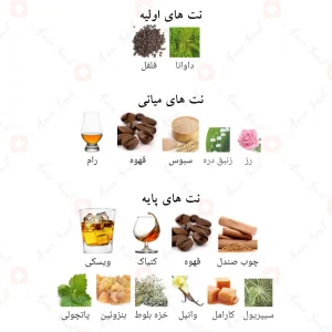 آیریش_کافی_کافی_کالکشن_Irish_Coffee_Coffee_Collection