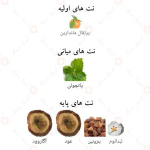 ابسولوت_عود_مگنیفیسنت_Absolute_Oud_Magnificent_7