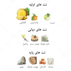 ادوپرفیوم_9_پی_ام_ربل_افنان_9pm_Rebel_Afnan
