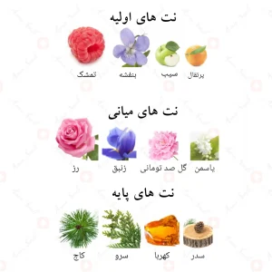 ادوپرفیوم_9_پی_ام_پور_فم_افنان_9pm_Pour_Femme_Afnan
