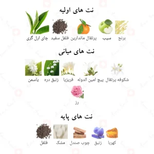 ادوپرفیوم_استایل_فرگرانس_ورد_Style_Fragrance_World