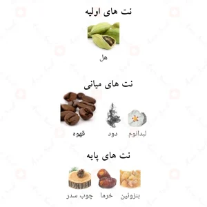 ادوپرفیوم_قهوه_کافی_کالکشن_Qahwa_Coffee_Collection