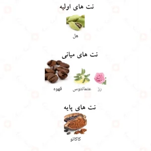 ادوپرفیوم_موکا_کافی_کالکشن_Mocha_Coffee_Collection