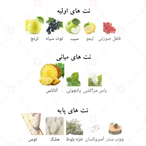 ادوپرفیوم_کچ_د_نویر_Catch_De_Noire_Fragrance_World