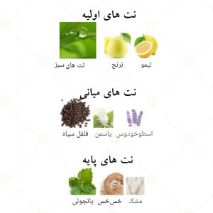 ادکلن آوانت الحمبرا