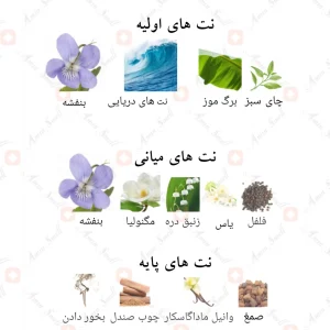 ادکلن هالو کویین Hallo Queen Fragrance World