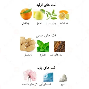 ادکلن_اسنس_د_بلانک_Essence_de_Blanc_Fragrance_World