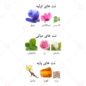 ادکلن_اسنس_د_نویر_Essence_de_Noir_Fragrance_World