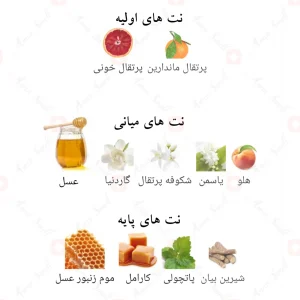 ادکلن_اسکندنت_فرگرانس_ورد_Scandant_Fragrance_World