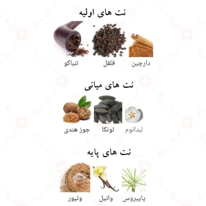 ادکلن_اغوا_بای_نایت_Ighwa_By_Night_Fragrance_World
