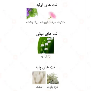 ادکلن_اویدنس_فرگرانس_ورد_Evidence_Fragrance_World