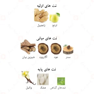 ادکلن_اینیشیو_عود_فور_هپینس_Initio_Oud_for_Happiness