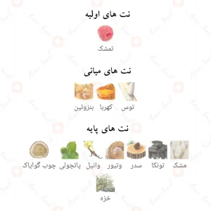 ادکلن_ترو_پورا_فرگرانس_ورد_Terro_Pura_Fragrance_World