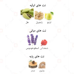 ادکلن_جک_آف_کلابز_Jack_Of_Clubs_Fragrance_World