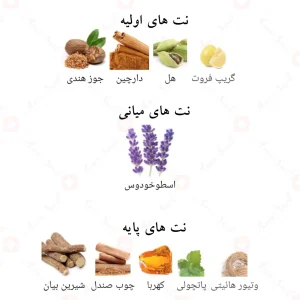 ادکلن_ساو_الکسیر_Suave_Elixir_Fragrance_World